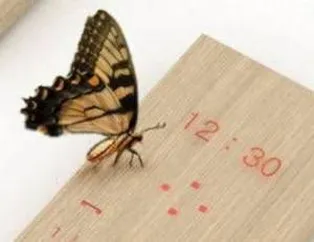 Geleceğin Cep Telefonları