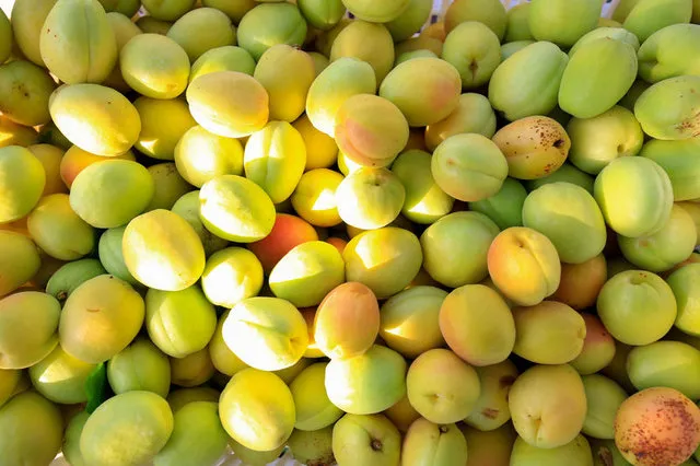 Kayısının faydaları nelerdir? - 9