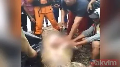 Endonezya’da timsahın karnından çıkanlar görenleri şoke etti! Balık tutan kadının vücudu...