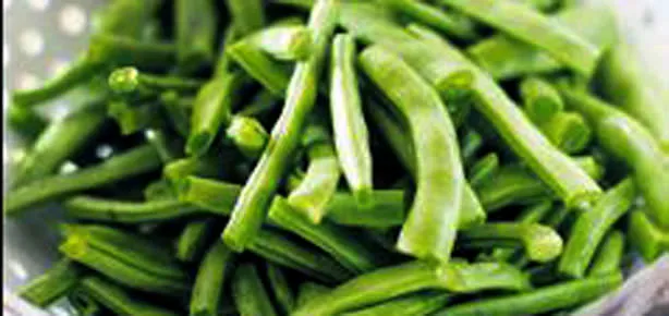 Fasulye böbreği korur