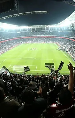 Advocaat'tan sürpriz derbi kararı