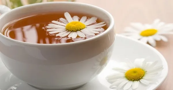 papatya cayi nasil demlenir