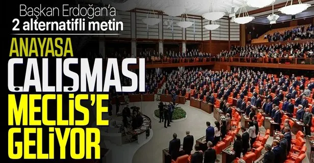 Anayasa çalışması Meclis’e geliyor! Başkan Erdoğan’a 2 alternatifli metin