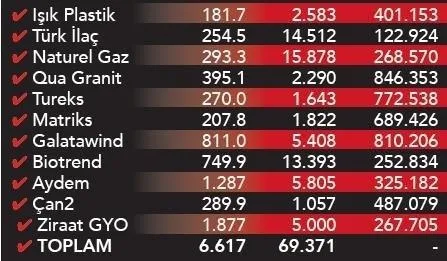 Borsa İstanbul'da 4 ayda 35 yılın rekoru kırıldı: 11 şirketten 6.6 milyarlık halka arz-4
