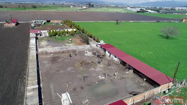 Tanesi 7 TL'ye yumurta! Yere atıldığında bile kolay kolay kırılmıyor - 15