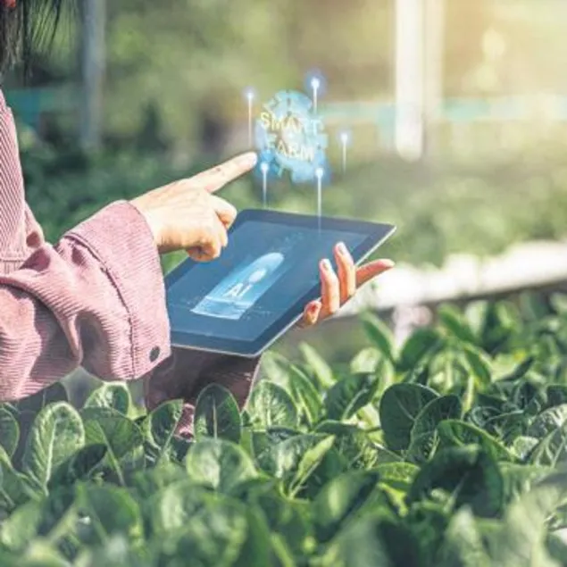 Tarımsal süreçler dijitalleşiyor