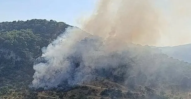 Çanakkale Ayvacık'ta orman yangını! Rüzgarın etkisiyle büyüdü... Havadan ve karadan müdahale sürüyor