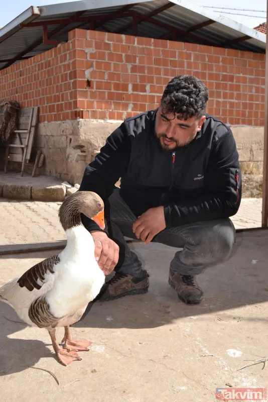 Kesmek için kaz aldı! Paşa şimdi en yakın arkadaşı - 2
