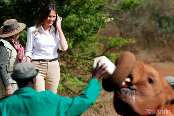 Melania Trump az daha filin altında kalıyordu - 17