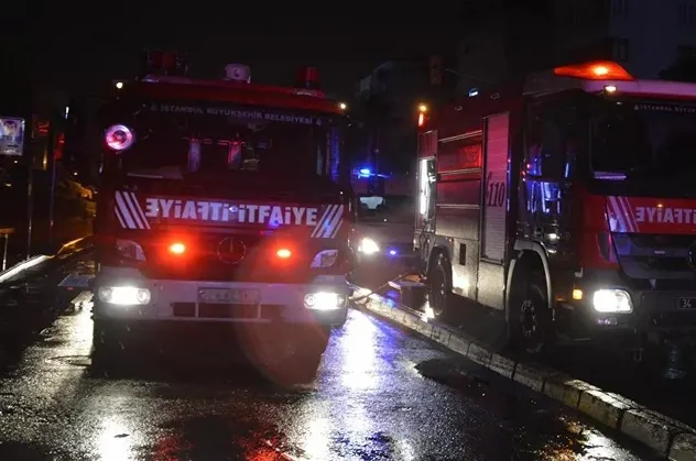 Pendik’te ormanlık alanda yangın