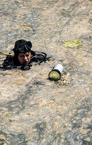 YÖK'ten flaş karar! Müsilajı araştırana burs!