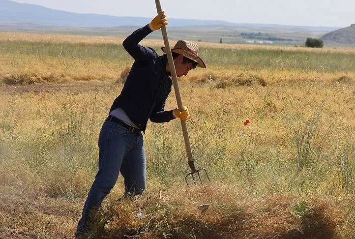 Çiftçiye 150 milyon lira