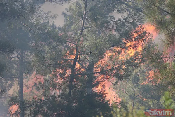 Bodrum'da orman yangını! "2024 yılının en ciddi yangınlarındandı" Kontrol altına alındı - 15