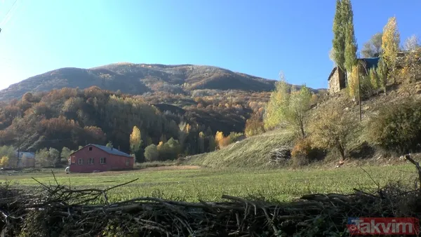 Muş'ta sonbaharın getirdiği renk cümbüşü harika görüntülere neden oldu - 1