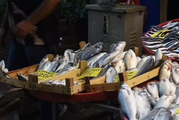 Uzman isimden balık uyarısı! "Eğer tahta kasadaysa dikkat edin"-3