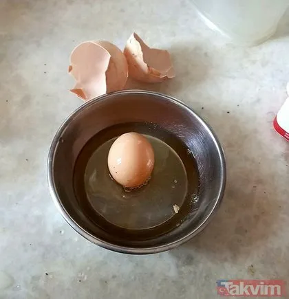 Kümese yumurta almak için gittiğinde hayatının şokunu yaşadı! Tavuğun yumurtladığı yumurtayı görünce...