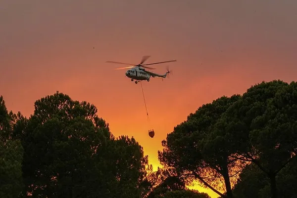 Türkiye'de peş peşe orman yangınları! Başkan Erdoğan açıkladı: 5 il Genel Hayata Etkili Afet Bölgesi ilan edildi-13