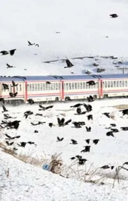 Karsrail'e rakip geldi