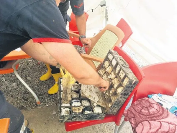 Kastamonu'da hem babasını hem de altınları kaybeden geçten örnek davranış-2