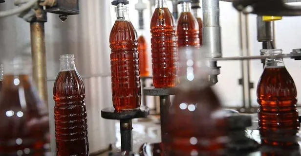 Kilo vermek isteyenlerin imdadına yetişen elma sirkesinin faydaları saymakla bitmiyor (Sağlık haberleri)