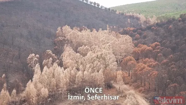 CHP ve yandaşı medyanın yangınlar üzerinden kirli algı oyunu çöktü: 'Otel yapacaklar' dedikleri alanlar tek tek yeşillendirildi - 21