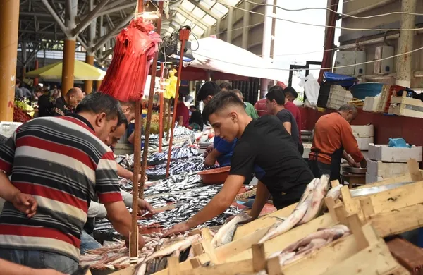 Uzman isimden balık uyarısı! "Eğer tahta kasadaysa dikkat edin"-2