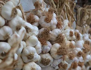 Sarımsaklasak da korunsak