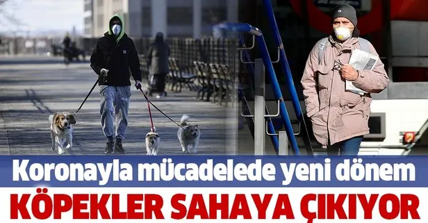 ingiltere de kopekler koronavirusu