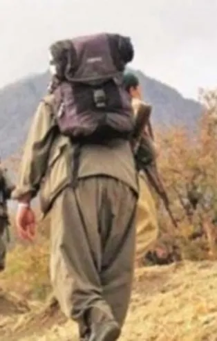 PKK'nın dağ kadrosundaki terörist tutuklandı