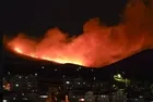 Ankara Mamak'ta orman yangını söndürüldü: 1 gözaltı