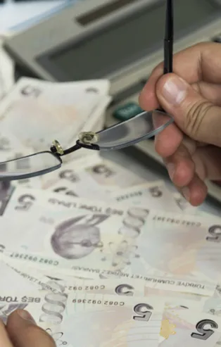 Tarımsal destek ödemeleri hesaplara yattı mı? Çiftçi destek ödemeleri 2021 sorgulama ekranı! Ne kadar yatırılıyor?