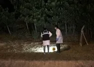 Son dakika: Kartal Aydos Ormanındaki yangına müdahale eden itfaiyeye tüfekle saldırı: 1 yaralı