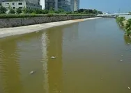 CHPli İzmir Büyükşehir Belediyesine Manda Çayında koku tepkisi: Bu pisliğin önüne geçemediler