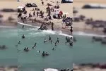 Sarıyer’de boğulma! 1 ölü