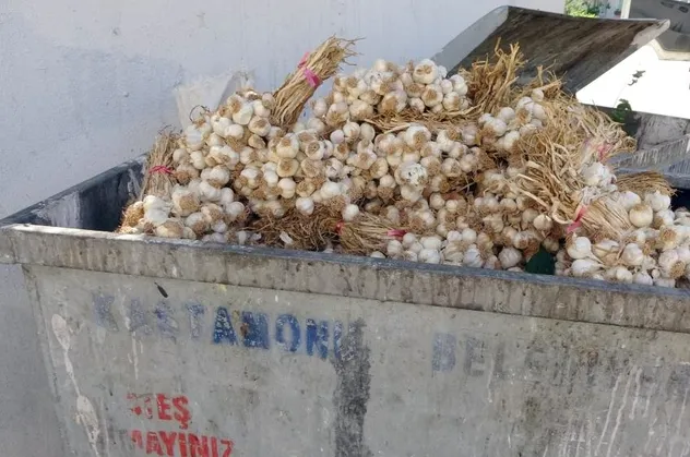 Kilolarca Taşköprü sarımsağını çöpe attılar