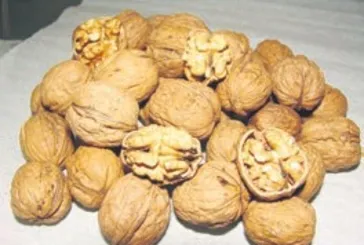 Cevizle güçlüyüz