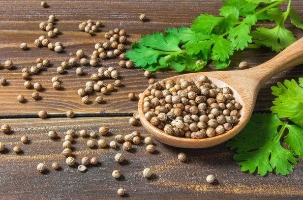 inatci-oksuruk-bronsit-habercisi-doktora-muayene-olun-1671148782477.jpeg İnatçı öksürük bronşit habercisi! Doktora muayene olun-7