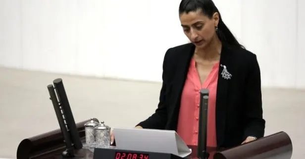 Terörist cenazesine katılan HDP'li Feleknas Uca ve Mehmet Rüştü Tiryaki hakkında soruşturma!-1