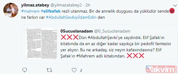 Abdullah Şevki'den sonra bir pedofili skandalı da FETÖ gelini Elif Şafak'tan! - 21