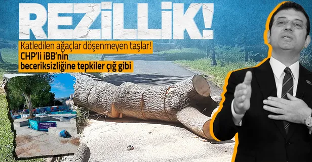 CHP'li İBB'nin Emirgan'daki ağaç katliamına tepki çığ gibi: Geziciler uykuda mısınız?