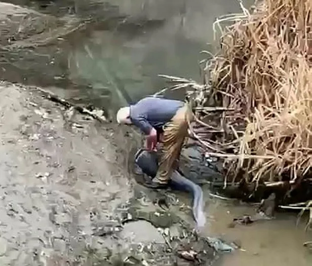 Yaşlı bir adam boyu kadar balığı bakın nasıl yakaladı! O anlar cep telefonu kamerasında-4