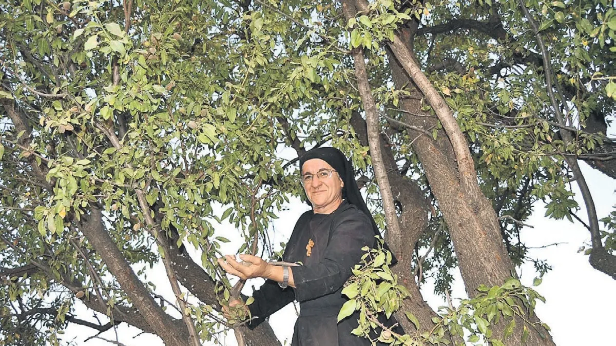 Dünyada köyü gibi yer bulamadı...