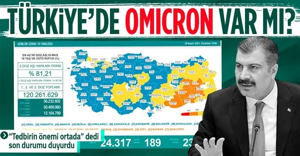 Koronavirüste son durum