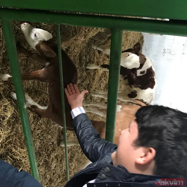 Çiftlik Bank'ın kurucusu Mehmet Aydın'ın yeni görüntüleri ortaya çıktı - 5