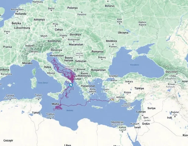 caretta-caretta-tuba-8-milyona-yakin-izlendi-1673395364537.jpeg Caretta caretta 'Tuba' 8 milyona yakın izlendi-1