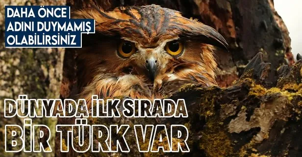 İlk sırada bir Türk var! Dünyada en çok kuş türü gören kişi Prof. Dr. Çağan Şekercioğlu oldu