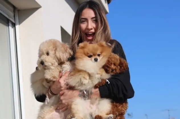 Zeynep Doğa Yaman: Pomeranian Boo cinsi en az yiyecek tüketen cinstir