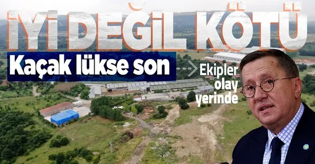 SON DAKİKA: İYİ Partili Lütfü Türkkan’ın Kocaeli Dilovası’ndaki kaçak çiftliği yıkım öncesi tahliye ediliyor