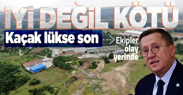 SON DAKİKA: İYİ Partili Lütfü Türkkan'ın Kocaeli Dilovası'ndaki kaçak çiftliği yıkım öncesi tahliye ediliyor