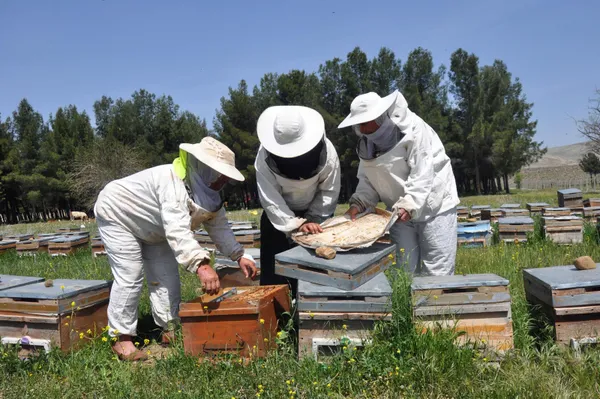kayinpederleri-sevdirdi-bu-3-elti-kavga-etmiyor-aricilik-yapiyor-1618815583989.jpg Kayınpederleri sevdirdi! Bu 3 elti kavga etmiyor! Arıcılık yapıyor-4